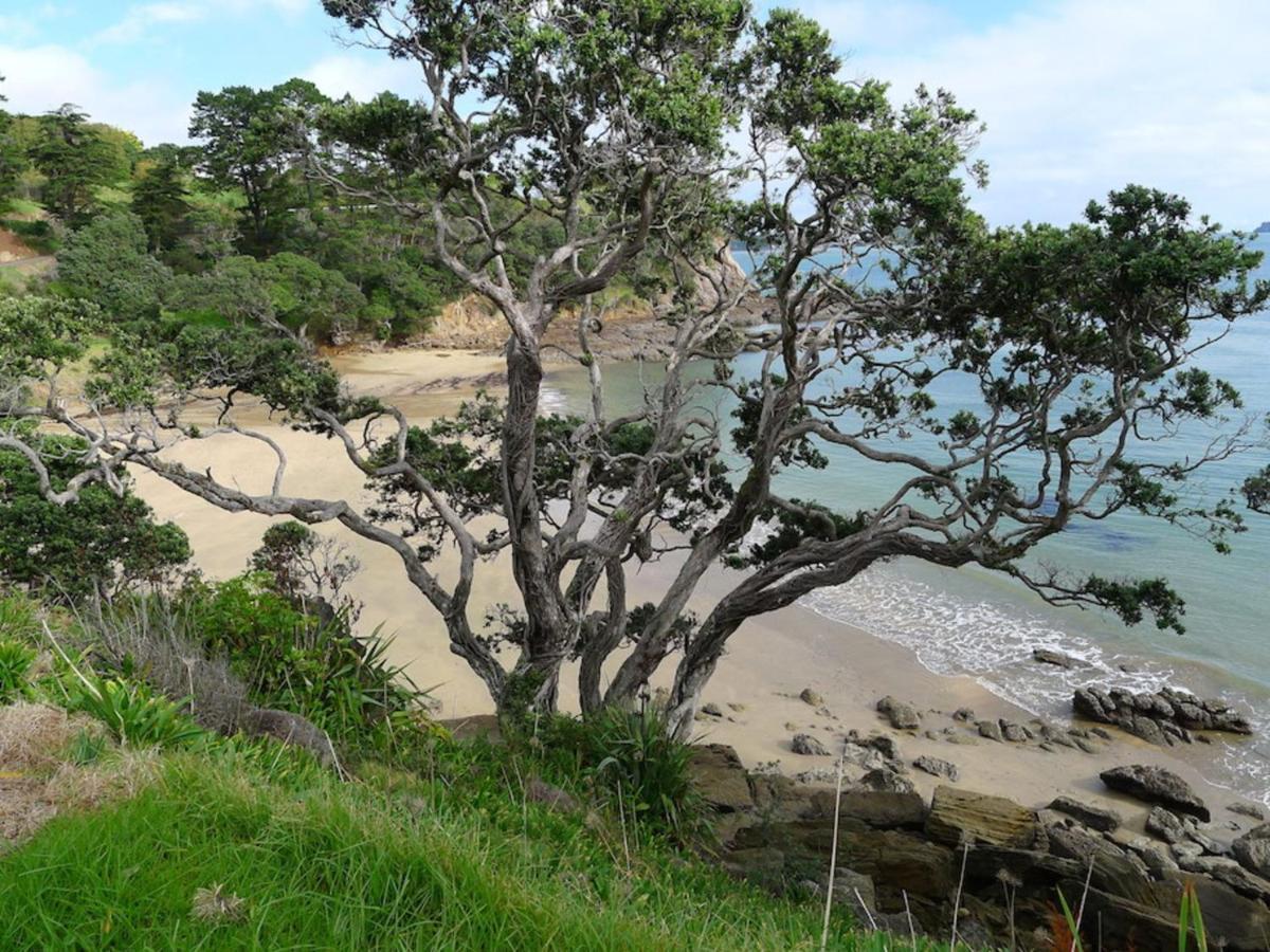 Anglers Lodge Coromandel Buitenkant foto
